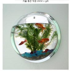 투명풍경