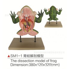 동물실험관련책