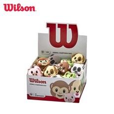 윌슨롤랑가로스댐프너