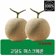 고당도 머스크 메론 멜론 특품 1.6kg 내외, 2개, 3.2kg 내외