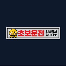 스텝2병아리차