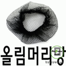 실머리망