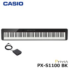 카시오px-s1100