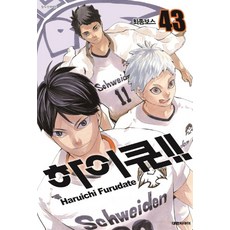하이큐!!. 43, 대원씨아이