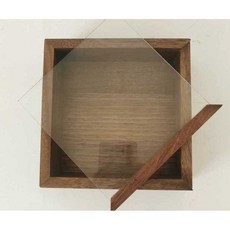 곤충표본 박제 해부 키트 원목 우드 프레임 케이스, 1개, (20x10x5.5cm))