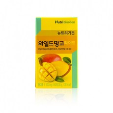 와일드망고 극동에치팜500mg x 60정