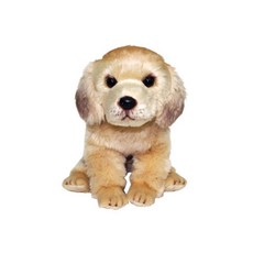 리얼 위더펫 인형 강아지 골든리트리버 시팅 말티즈 웰시코기 봉제 선물 비숑 귀여운 골든리트리버 시츄, 단품