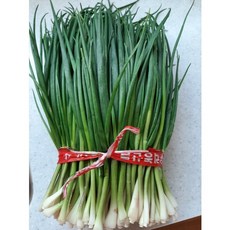 국내산 산지직송 싱싱한 깐쪽파 쪽파 1단, 1박스, 1kg