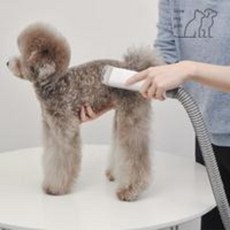 럽마이펫애견미용기