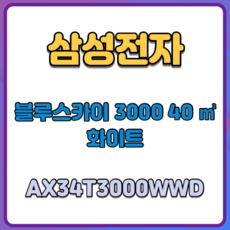삼성전자 블루스카이 3000 40m2 화이트 AX34T3000WWD