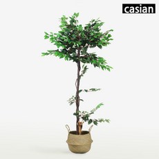 포스아트 인조나무 벤자민(화분형D) CN 인테리어 대형 조화나무, 170~180cm