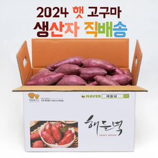 24년 햇 산지직송 해들녘 무농약 고창황토고구마 3/5/10 kg x (특상/중/한입) 사이즈, 해들녘고구마 5kg (한입 사이즈), 1개