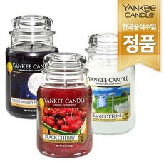 양키캔들엘리베이션코스탈사이프러스
