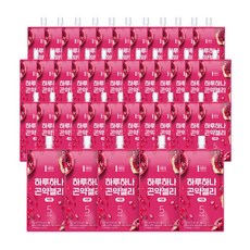 1am 하루하나 곤약젤리 석류, 150g x 40개