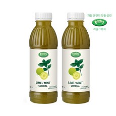 [과일베이스] Osterberg Lime Mint Crush 라임민트(모히또) 크러쉬 1L x 2개, 라임본연의 맛 / 라임민트베이스의 표준