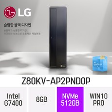 LG 슬림 데스크탑 Z80KV-AP2PND0P, WIN10 Pro, 8GB, 512GB, 펜티엄 G7400, B