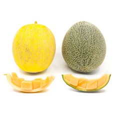 하미과메론-추천-상품