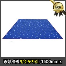 중형 방수 돗자리 은박지 슬림 mm x 휴대용 야외 피크닉 매트 감성, 선택