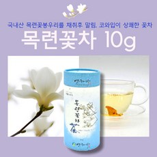 티코와황금날개