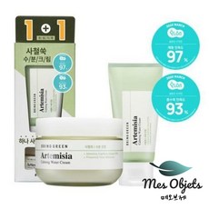 [메오브제] 브링그린 사철쑥 카밍 수분 크림 1+1 한정기획, 75ml + 75ml(튜브형 증정)