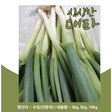 중국산 신선한 최상급 손질 깐대파, 1박스, 10kg