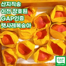 치악산복숭아