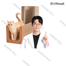  캣 스크래쳐 캣트리스 미야옹철 최애조합 캣터널, 캣터널 - 매직터널L 2개 