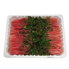 야채왕 적메밀순 1팩(500g), 1개