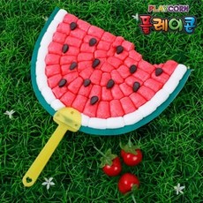 플레이콘수박부채