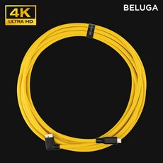 벨루가케이블