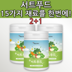 칠레의밤
