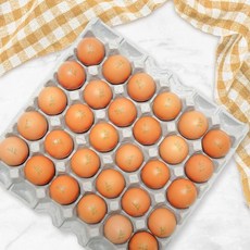 큰손 구운계란 대란 1판 30구, 큰손 구운계란 1판(30구), 큰손 구운계란 1판(30구)
