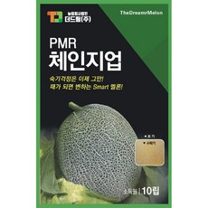 더드림 체인지업 멜론씨앗 멜론종자 / 숙기걱정없이 때가되면 색이변하는 스마트 멜론씨, 1개