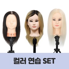 비너스가발 컬러 연습 SET, 1개 - 비너스통가발