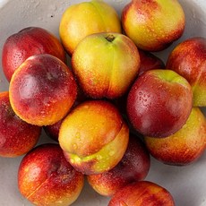 산지직송 새콤달콤 오월도 천도복숭아, 1개, 2kg 중대과 30-35과내외