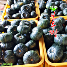 미소닉스mini10