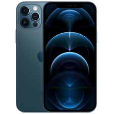 Apple 아이폰 12 Pro Max 자급제