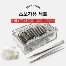 비플라이 초보자용 벌침 세트 (벌+핀셋2종+영양먹이 10개)