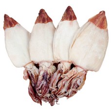 특 대사이즈 최상급 한치 10미(500g)