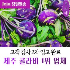fd63dd5fa15998bd9075873447a8de25df71b8eb1c34d981da6bd55902bb.jpg