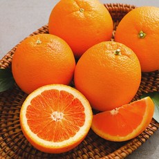[한가득] 발렌시아 오렌지 특대과 20과(개당 270g내외)