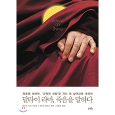 달라이 라마 죽음을 말하다 : 죽음에 대하여 ‘강력한 선함’을 지닌 채 살아감에 대하여, 담앤북스