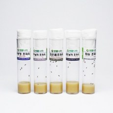 돌연변이