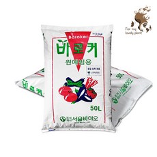 바로커상토