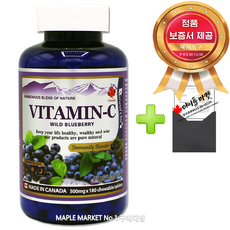 인씨네블루베리즙