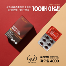 하이콘소형냉동고