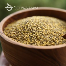 2023년 조트리오 1kg 차좁쌀 청차좁쌀 찰기장