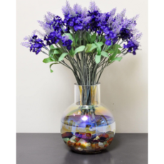 프리츠한센화병