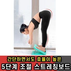 차이레그릴렉서