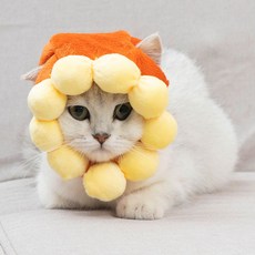 고양이 강아지 모자 토끼귀 생일축하모자 루돌프, 태양 모자_S